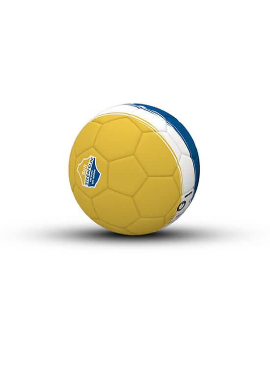 SUS Steenfelde Miniball